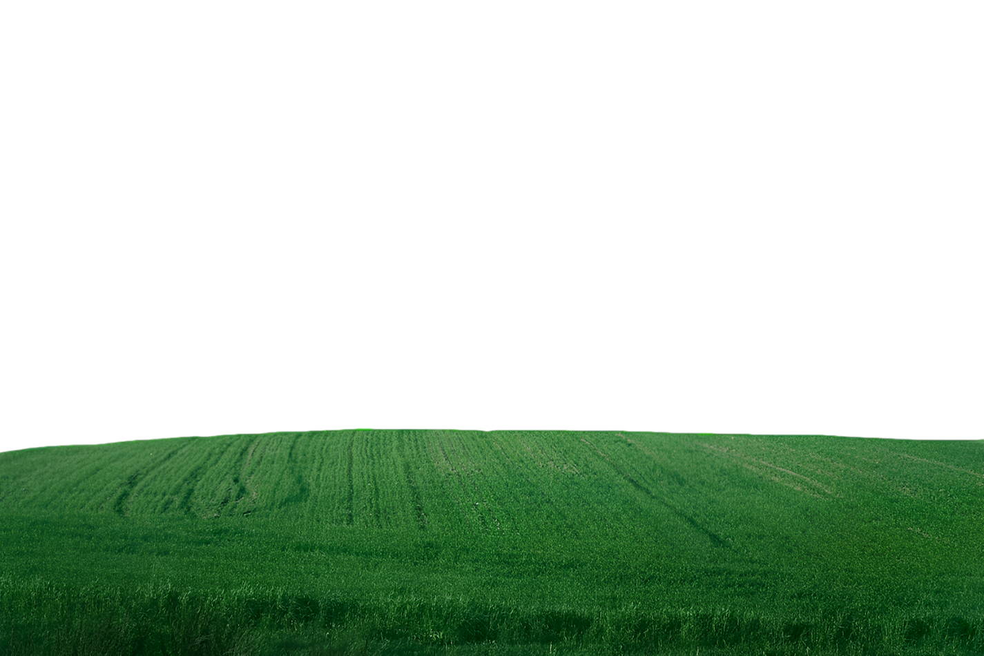 Agriculture field
